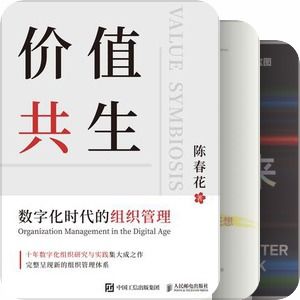 軟件開發中的經管、定位、產品、組織與運營統籌策略