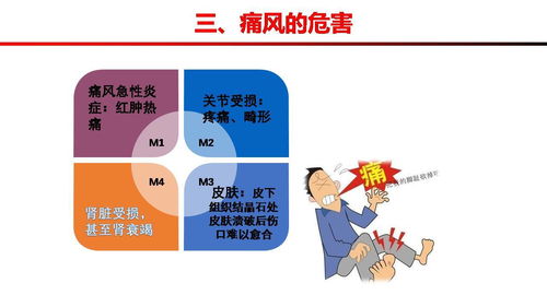 高尿酸血癥的健康管理方案 痛風預防的黃金法則